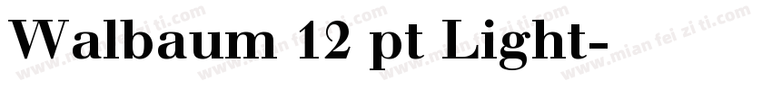 Walbaum 12 pt Light字体转换